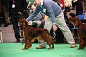 Crufts2011 279